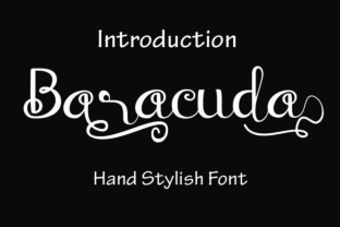 Baraccuda: A Classy Script Font for Business Branding