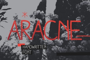 Discover the Elegance of Aracne: A Premium Script Handwritten Font