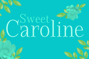 Discover the Rustic Charm of Sweet Caroline Font