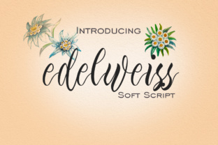 Edelweiss: A Beautiful Font for Elegant Branding
