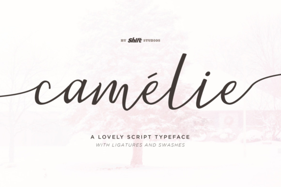 Enhance Your Brand with Camelie: A Feminine Script Font