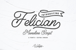 Felician: The Perfect Modern Font for Editorial Design