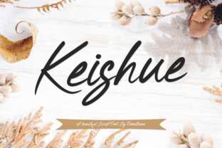 Keishue: A Modern Handwritten Typeface for Elegant Web Design