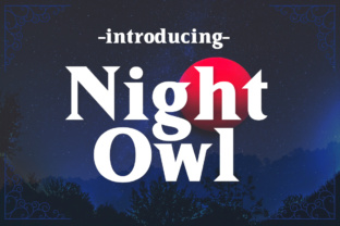 Night Owl: A Classic Serif Font for Timeless Campaigns