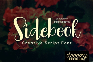 Sidebook Script: A Cool and Funny Font for Your Brand